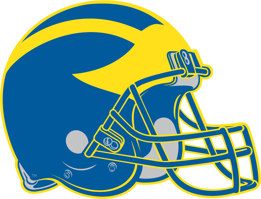 Delaware Blue Hens 1999-2008 Helmet Logo diy iron on heat transfer